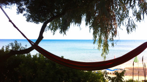 Hängematte unter dem Eukalyptus