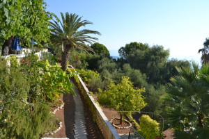 Blick auf den Garten von Liofito